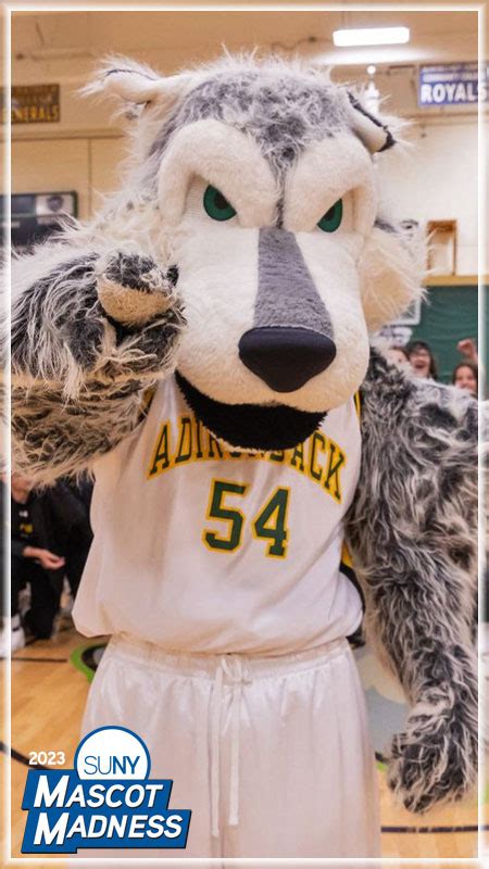 The Battle for the Best Dressed Mascot: SUNY Edition